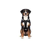 Arnés para perros ajustable Trexor de Knuffelwuff con asa de sujeción L Negro