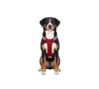 Arnés para perros ajustable Trexor de Knuffelwuff con asa de sujeción L Rojo