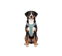 Arnés para perros ajustable Trexor de Knuffelwuff con asa de sujeción L Verde menta