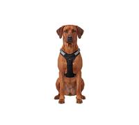 Arnés para perros ajustable Trexor de Knuffelwuff con asa de sujeción XL Negro