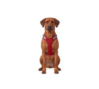 Arnés para perros ajustable Trexor de Knuffelwuff con asa de sujeción XL Rojo