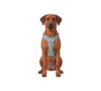 Arnés para perros ajustable Trexor de Knuffelwuff con asa de sujeción XL Verde menta