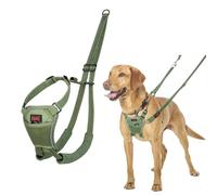 Arnés anti tirones HALTI - Para evitar que tu perro tire de la correa, Ajustable, Ligero y Fácil de Usar. Reflexiva Adiestramiento canino Arnés para perros medianos (Talla M, Bosque Verde)