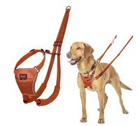 Arnés anti tirones HALTI - Para evitar que tu perro tire de la correa, Ajustable, Ligero y Fácil de Usar. Reflexiva Adiestramiento canino Arnés para perros medianos (Talla M, Naranja Quemada)