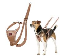 Arnés Anti tirones HALTI - para Evitar Que tu Perro Tire de la Correa, Ajustable, Ligero y Fácil de Usar. Reflexiva Adiestramiento canino Arnés para Perros pequeños (Talla XS, Arena del Desierto)