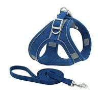 arnés para Perros, Arnés Reflectante for Perros y Gatos, Chaleco de Nailon, Conjunto arnés Correa, Color Rojo, Talla XS(Blue,XL)