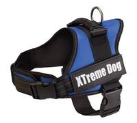 Arnés para perros Arquivet Xtreme color azul