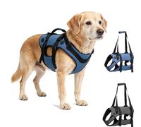 Arnés para perros artrosis, ayuda para la movilidad, arnés de rehabilitación transpirable para perros mayores con problemas en las articulaciones, tu apoyo diario, para más buenos días juntos (azul