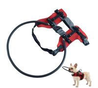 Arnés para perros ciegos Collar de navegación para gatos ciegos con tiras