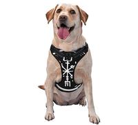 Arnés para Perros con brújula rúnica Vegvisir, Vikingo mágico, antitirones, Ajustable, Suave y Acolchado, para Exteriores, con asa de fácil Control.