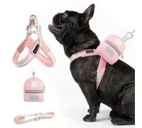 Arnés para perros con correa | Arnés ajustable para perros, práctica bolsa de almacenamiento, equipo antigiro para paseos, senderismo, parque, camping