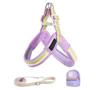 Arnés para perros con correa, diseño ajustable, equipo de seguridad animal antirrotativo con bolsa de almacenamiento para entrenamiento, paseo, camping y