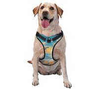 Arnés para Perros con Estampado de gaviotas Junto al mar y Chaleco de Mall