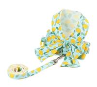 Arnés para Perros Conjunto de arnés y Correa para Perros Transpirables Ropa para Gatos con Lazo Floral para Correas de Chaleco para Perros pequeños y medianos (Verde Fruta L 5_6 kg)