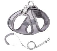 arnés para Perros, Conjunto de Correa, arnés Malla for Cachorros, Acolchada Suave for Perros pequeños, Gatos, Chaleco, Accesorios for DS(B,S)