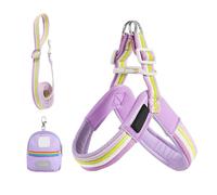 Arnés para Perros Correa - Arnés Ajustable Para Perros Pequeños - Equipo de Seguridad Accesorios para Animales Con Bolsa Para Parque Ciudad Camping Sender