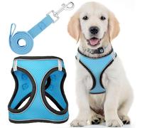 Arnés para perros + correa, grande, azul husky, diseño de arnés para mascotas acolchado y antitirones + tiras reflectantes para perros pequeños y medianos, de EcoEarth
