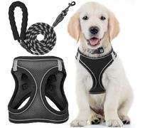 Arnés para Perros + Correa Mejorada - Pequeño, Negro Cuervo - Arnés para Mascotas Acolchado Suave, diseño antipull + Tiras Reflectantes para Perros pequeños