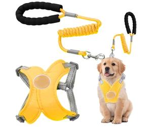 Arnés para perros de talla pequeña - Arnés ajustable para mascotas | Estructura En X Transpirable Con Cordones Reflectantes, Entrenamiento Pequeñas Razas Viaje Carretera Senderismo Jogging