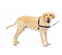 Arnés Easy Walk Negro - L