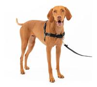 Arnés para Perros Easy Walk de PetSafe, arnés antitirones para Perros - para adiestramiento con Correa y arnés - Evita tirones y Asfixia en los Paseos - Mediano, Negro
