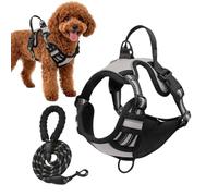 Arnés para Perros Grandes | Equipo de Paseo Reflectante para Cachorros - Arnés Chaleco para Perros - para Senderismo Correr Aventuras Exteriores Parque Acampada Picnic Dueños De Mascotas