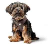 HUNTER Arnés para Perro Love, Color: marrón, Piel de Vaca Suave, Acolchado de Malla Transpirable, corazón Cosido a Mano, Gran Comodidad, Fabricado en Alemania, Talla S