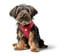 Arnés para Perros HUNTER Love, Color: Rojo, Cuero de Vaca Suave, Acolchado de Malla Transpirable, corazón Cosido a Mano, Alta Comodidad, Talla: XS