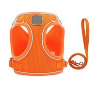 Arnés para Perros Juego de Correa para arnés para Mascotas, sin tirones, Malla Suave, Reflectante, a Prueba de Escape, Chaleco para Perros pequeños y Gatos, Ajustable al Aire Libre (1 XL)