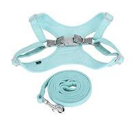 Arnés para Perros, Kit de Cuerda de tracción, Chaleco Ajustable sin tirones, Cuello Reflectante, cinturón de respiración cómodo (XS)