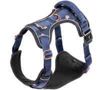 Arnés para Perros - Let’s Get Foxy - excepcionalmente Elegante y con Acolchado de Malla Transpirable - arnés de Pecho para Perros Grandes, medianos y pequeños (M)