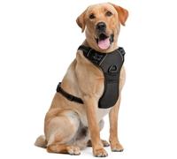 Arnés para Perros medianos - Mediano, Negro - Suave, Acolchado, Ajustable, diseño antipull para Correr y Hacer Senderismo - de EcoEarth