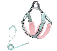 Arnés para Perros para Mascotas Arnés Ajustable para Perros Sin tirones Cachorro Gato Correa para Caminar al Aire Libre Bulldog francés Collar para Chihuahua (Verde_Rosa S)