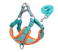 Arnés para Perros para Mascotas Juego de arnés y Correa para Perros sin tirones Arnés Ajustable para Cachorros y Gatos Chaleco Correa Reflectante para Caminar (Azul L 7_10 kg)