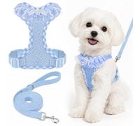 Arnés para Perros Pequeños con Estampado a Cuadros y Correa，Azul, L | Respirable, Malla Suave, Adornado con Encaje, Acolchado Grueso, Fácil de llevar, para Paseos y Entrenamiento Pequeño Perros