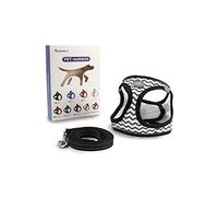 Arnés para Perros Pequeños y Medianos, con Correa de 1,4 m, Reflectante, Transpirable, L, Negro con Rayas Blancas