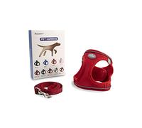 Arnés para Perros Pequeños y Medianos, con Correa de 1,4 m, Reflectante, Transpirable, L, Rojo