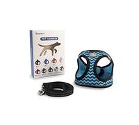 Arnés para Perros Pequeños y Medianos, con Correa de 1,4 m, Reflectante, Transpirable, M, Negro con Rayas Azules