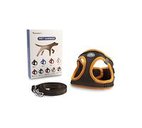 Arnés para Perros Pequeños y Medianos, con Correa de 1,4 m, Reflectante, Transpirable, S, Marrón y Naranja