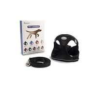 Arnés para Perros Pequeños y Medianos, con Correa de 1,4 m, Reflectante, Transpirable, S, Negro