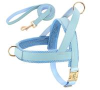 Arnés para perros personalizado, juego de correas, chaleco acolchado suave para perros, arneses gratis, chalecos personalizados con hebilla de identificación para mascotas con cuerda de plomo para perros Pug