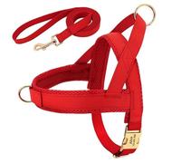 Arnés para perros personalizado, juego de correas, chaleco acolchado suave para perros, arneses gratis, chalecos personalizados con hebilla de identificación para mascotas con cuerda de plomo para perros Pug