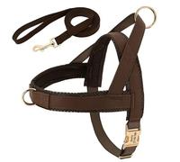 Arnés para perros personalizado, juego de correas, chaleco acolchado suave para perros, arneses gratis, chalecos personalizados con hebilla de identificación para mascotas con cuerda de plomo para perros Pug