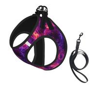Arnés para Perros Pink Flame Fire Smoke Step in No Tirón Ajustable Suave Malla Acolchado Reflectante Chaleco Arnés y Correa Conjunto para Perros Pequeños y Medianos Paseo