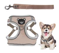 Arnés para perros que brilla en la oscuridad, arnés para perros iluminado, arnés y cuerda de tracción para cachorros, arnés ajustable para perros pequeños Chaleco ligero Combo correa p