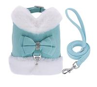 Arnés para Perros y Gatos pequeños, Conjunto de Correa, arnés Suave y cálido, Chaleco Transpirable para Cachorros, arnés para Mascotas, Plomo para Perros pequeños (Azul XS)