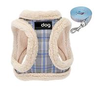 Arnés para Perros y Mascotas, arnés Suave para Perros y Gatos, Chaleco sin tirones, Acolchado, arnés para Cachorros, Chihuahua, Conjunto de Correa Ajustable (Azul XS)
