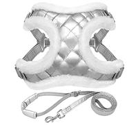 Arnés para Perros y Mascotas, Conjunto de Correa y arnés para Perros pequeños Peludos de Invierno, Correa para el Pecho cálida para Mascotas, Chaleco Acolchado con arnés para Perros y Gatos (Plata M)