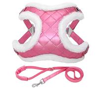 Arnés para Perros y Mascotas, Conjunto de Correa y arnés para Perros pequeños y Peludos de Invierno, Correa para el Pecho cálida para Mascotas, Chaleco Acolchado para Perros y Gatos (Rosa XS)