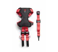 Arnés para perros ZOLUX TRAVEL SAFE S rojo